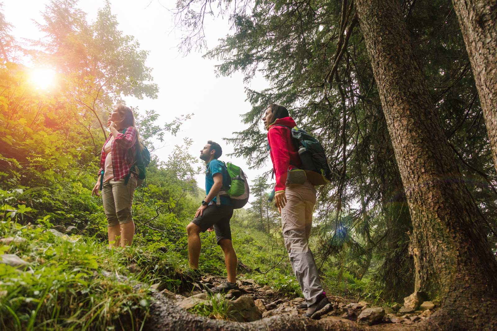 Sportliches Wandern – flottes Tempo (5km/h) ohne Einkehr, nur mit „Anbeißpausen“. St. Andreasberger Höhenwanderweg: 14 km um die höchste Bergstadt im Harz. Sportliches Wandern zum Sonnenberg