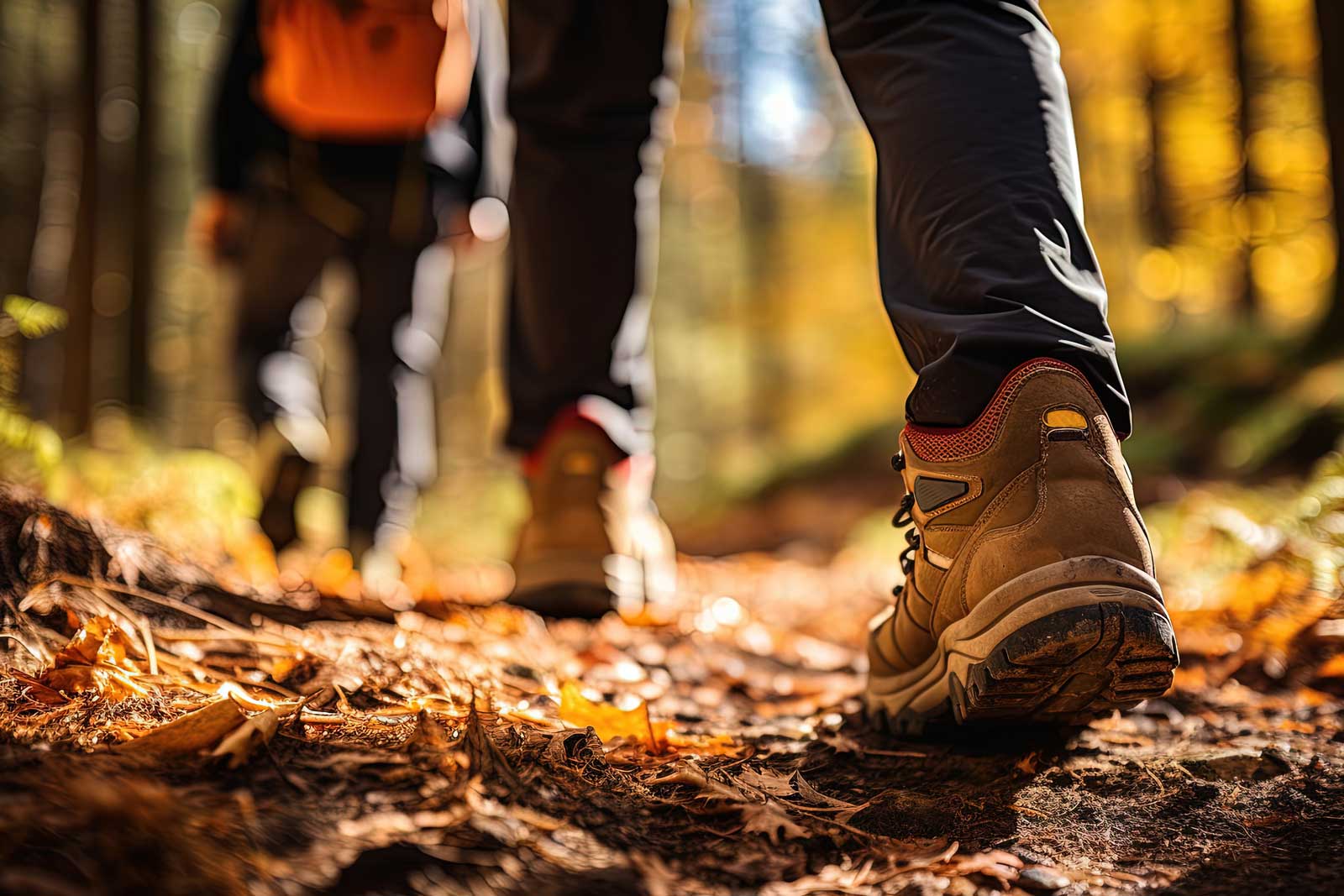 Sankt Andreasberger Wanderwoche
