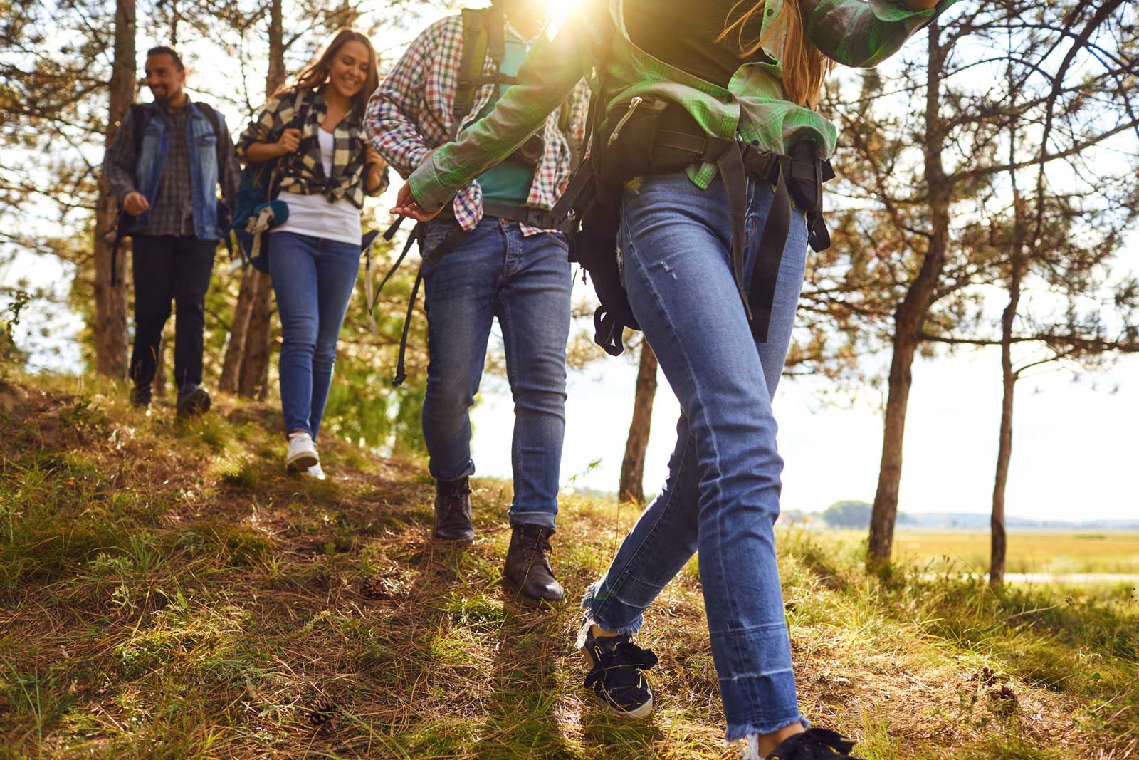 Eine Wandergruppe läuft durch einen Wald.