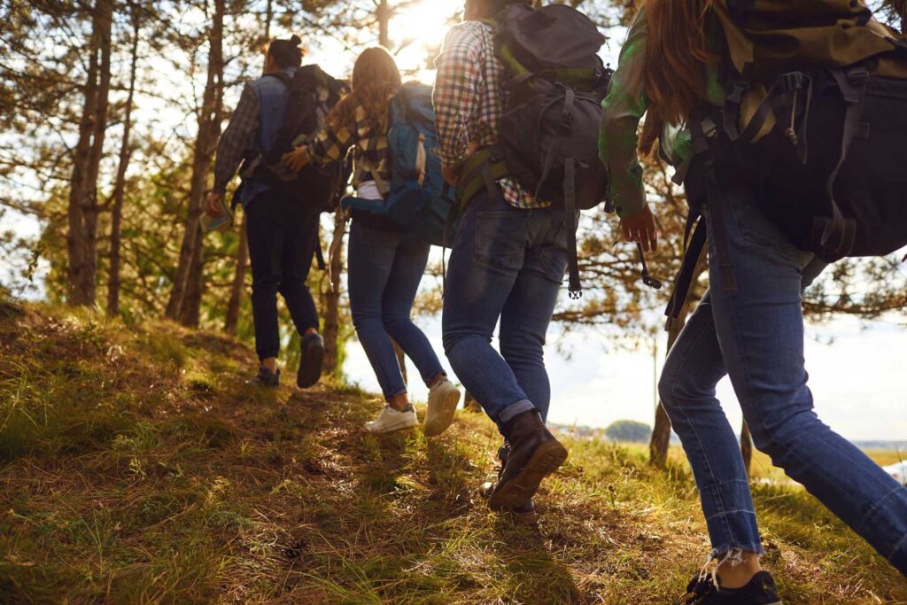 Eine Wandergruppe wandert durch eine sommerliche Berglandschaft