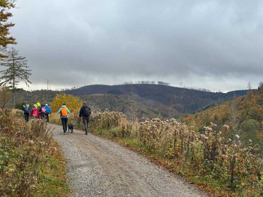 Die 2. Sankt Andreasberger Wanderwoche