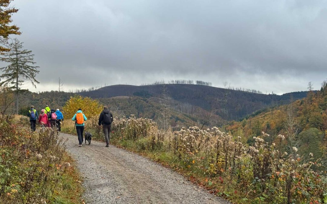 Sankt Andreasberger Wanderwoche