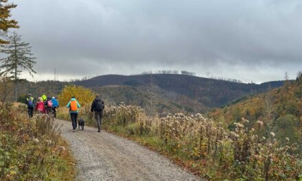 Sankt Andreasberger Wanderwoche