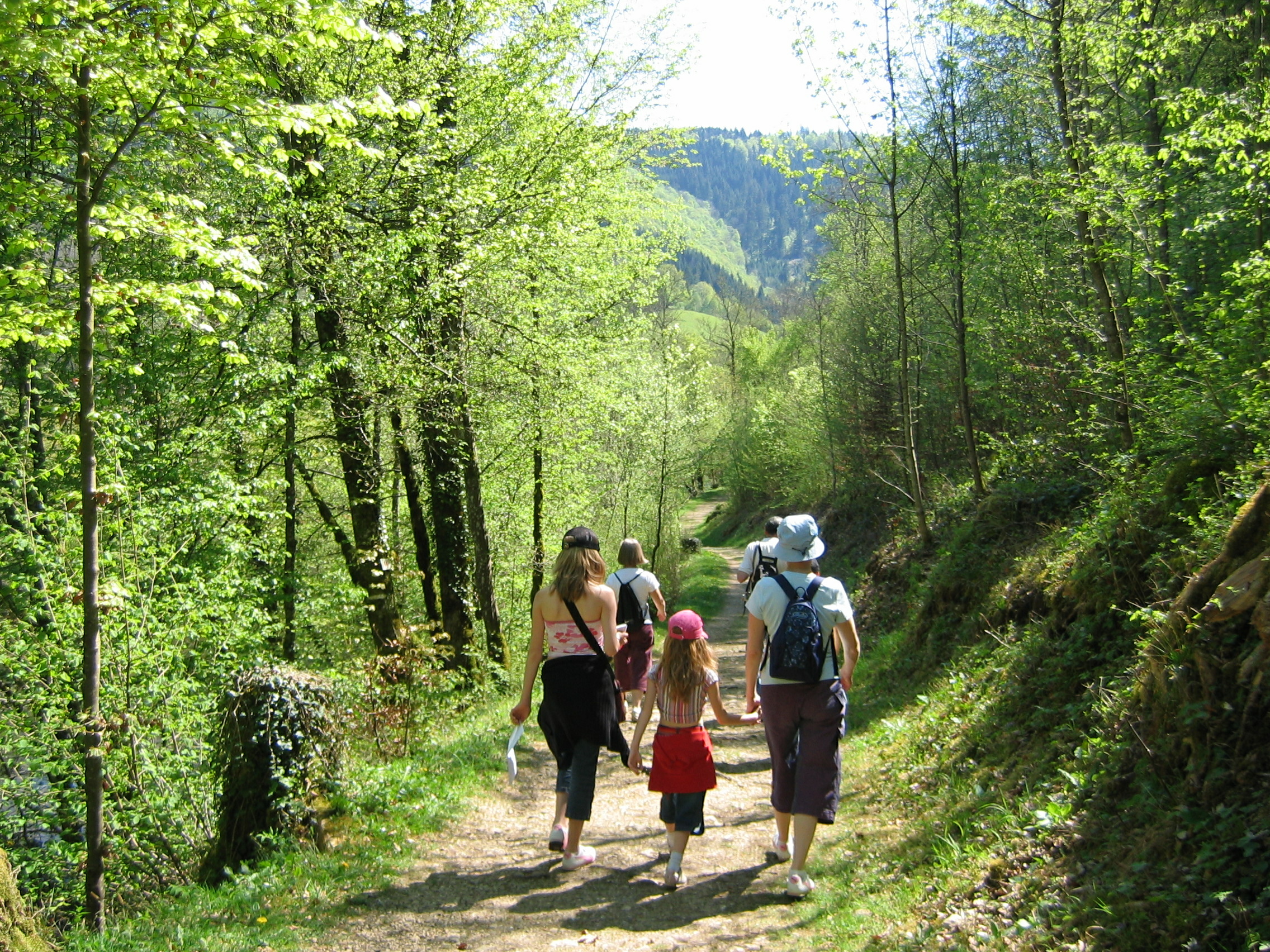 Eine Familie Wandert durch einen bergigen Wald
