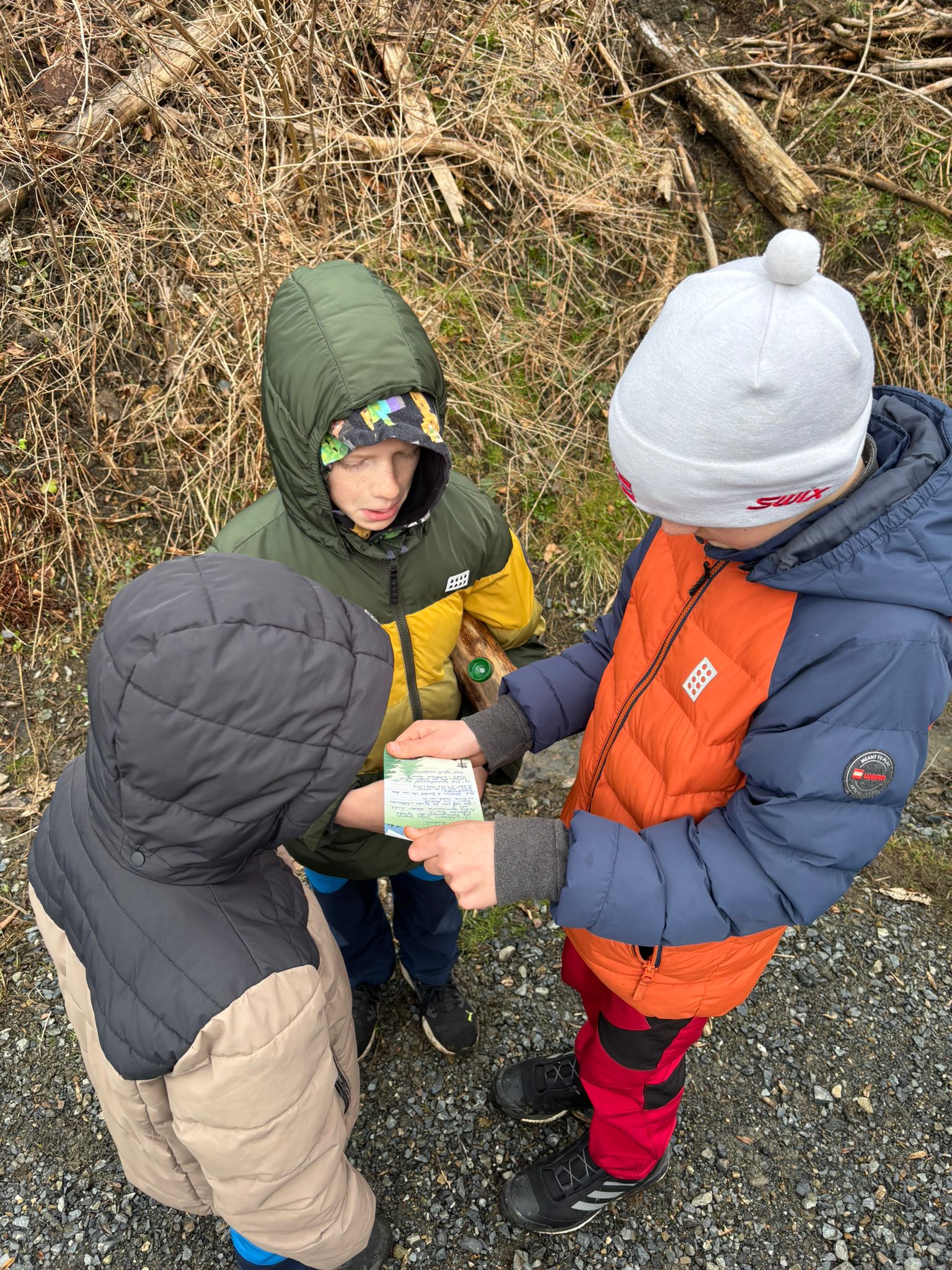 Kinder lösen ein Rätsel im Wald