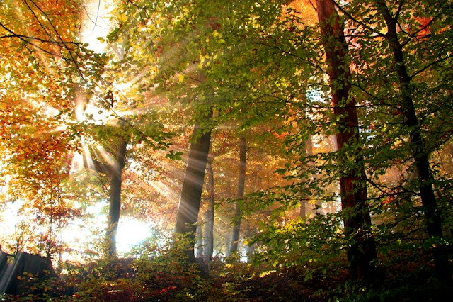 herbstliche Wanderung in sagenumwobener Bergwildnis